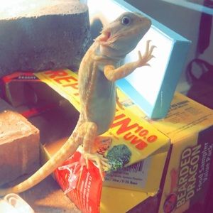 Meet your Posher, Silas